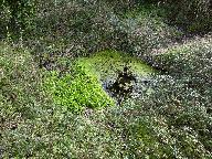 Routoirs et fontaine de Fanten an aman (La Roche-Derrien fusionnée en La Roche-Jaudy en 2019)