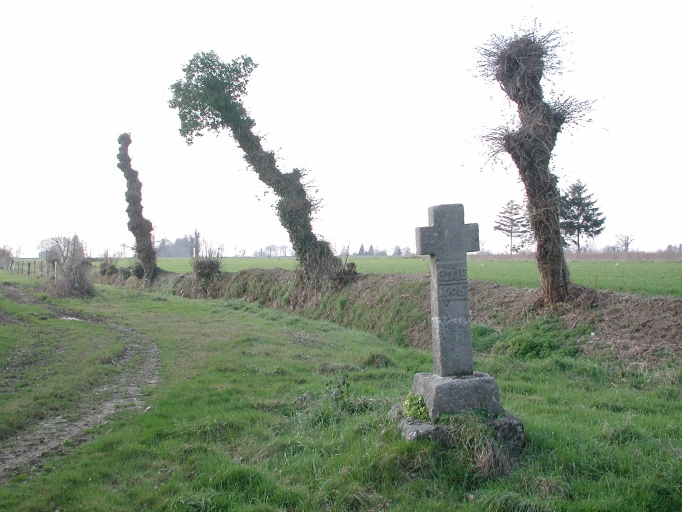 Croix de chemin, la Repichère (Combourg)