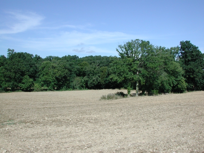 Château, la Besnerais (Pleumeleuc)