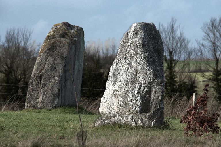 Menhir du Champ de la Pierre et menhir du Champ Horel (Le Sel-de-Bretagne)
