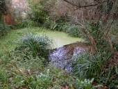Lavoir et fontaine, rue de l'Armor, Run-an-Guern (Trébeurden)