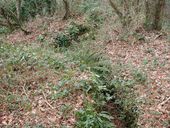 Poste d'observation et tranchées, Roc'h C'hlaz (Carantec)