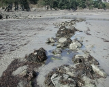 Pêcherie ou réservoir à poissons dite l'écluse, Anse de Ka (Saint-Cast-le-Guildo)