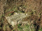 Bunker - poste d’observation et de tir dit "Tobruk-Stand", Kervaoter (Brest)