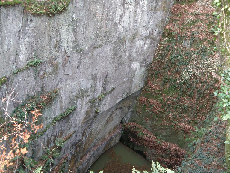 Ardoisières de la Croix aux Chênes (Pluherlin)
