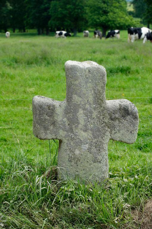 Croix de chemin de l'Etoublette (Calorguen)