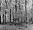 Calvaire, la Croix rouge (Le Quillio)