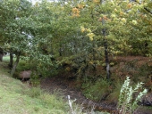 Motte féodale, le Bois Halbran (Saint-Germain-du-Pinel)