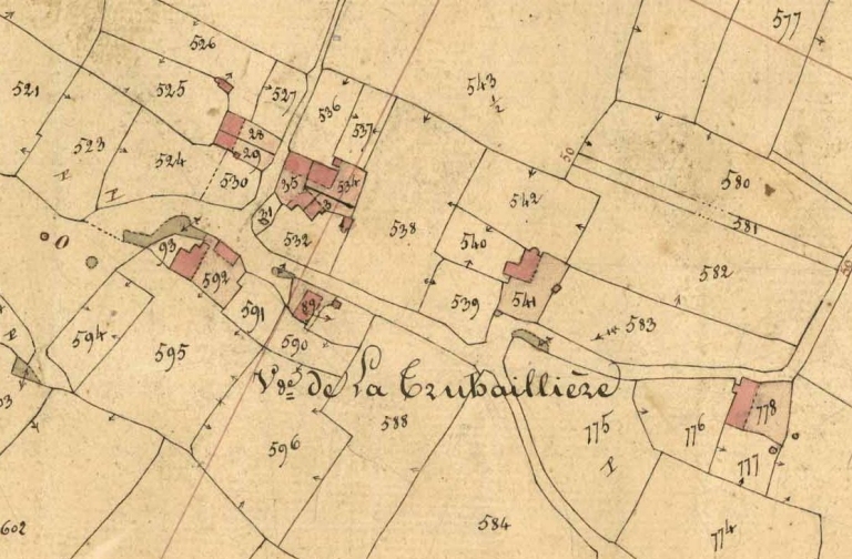 Ecart, la Trubaillère (Vignoc)