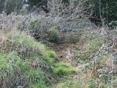 Abri n° 1, 13 Allée du Cosmeur, Pointe de Penn-al-Lann (Carantec)