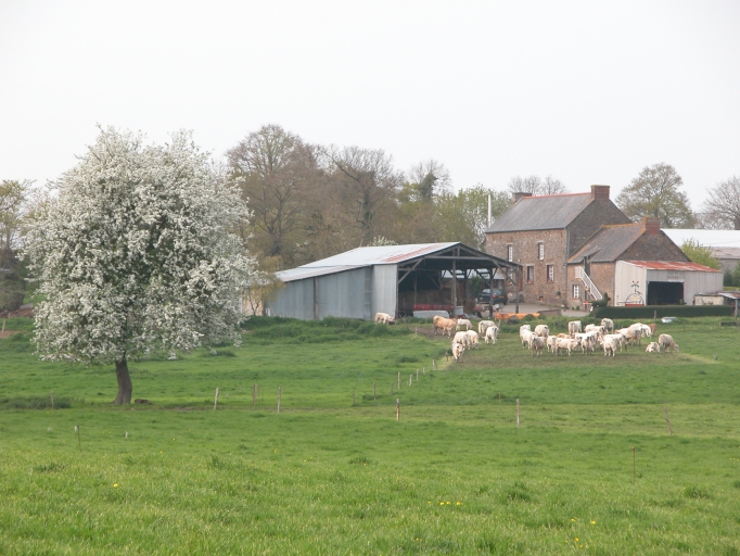 Ferme, la Ville Morhain (Pleugueneuc)