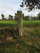 Croix de chemin, la Grenouillère (Caro)