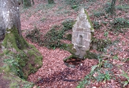 Fontaine du Château (Tonquédec)