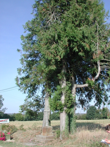 Croix de chemin, route de Bréal (Pleumeleuc)