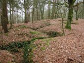 Réseau de tranchées, Le Ménez, Ploujean (Morlaix)
