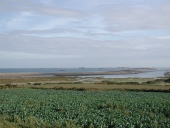 Front de mer de Ot Vian à Mer Melen et à Pen Vir (Pleubian)