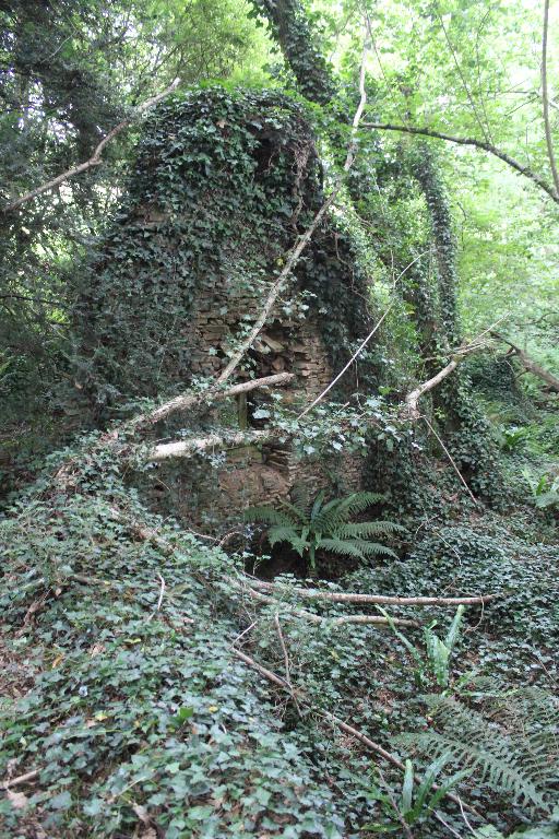 Kanndi de Runaher Tinduff (Saint-Urbain)