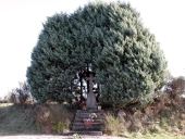 Croix monumentale, R.D. 795, près des Rieux (Bonnemain)