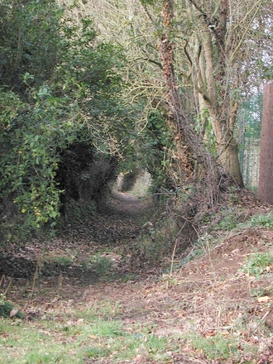 Chemin dit Garden Milord, rue Garden Milord (Plouézec)