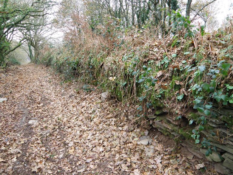 Ardoisière de Lescoat (Motreff)