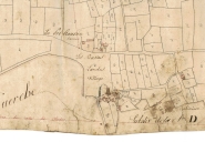 Ecart, les Basses Landes (Availles-sur-Seiche)