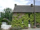 Maison, le Hainlée (Langon)