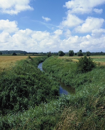 Canal de drainage dit Biez Jean (La Fresnais)