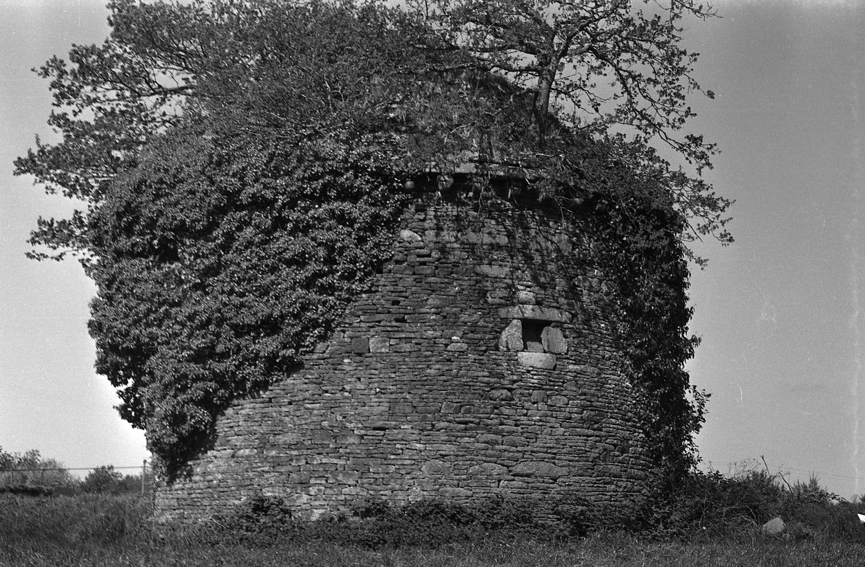 Colombier, Kernaudour (Bégard)