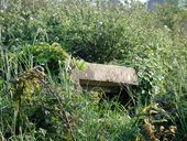 Encuvement avec poste d'observation, Pointe de Penn-al-Lann (Carantec)