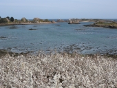 Front de mer : espaces littoraux remarquables sur la commune de Bréhat