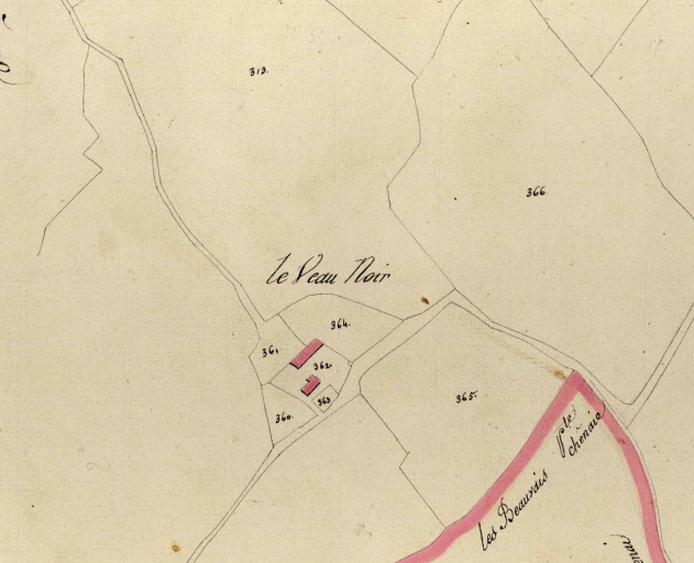 Ferme, le Veau Noir (Bourgbarré)