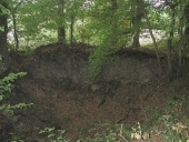 Motte féodale, Métairie de Mont (Talensac)