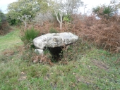 Dolmen, Rigonou (Camaret-sur-Mer)