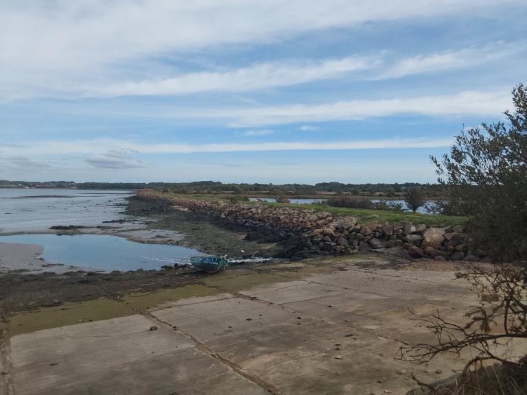 Le marais de Pen Mané (Locmiquélic)