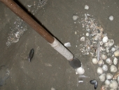 Outil de pêche : cuiller pour pêcher les coques (tchullié)