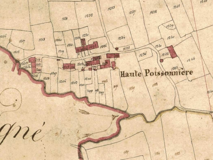 Ecart, la Haute Poissonnière (Eancé)