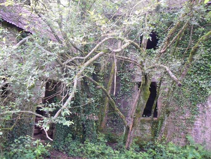 Moulin à farine du Rojou (Saint-Gilles-Pligeaux)