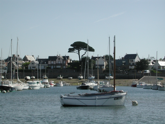 Bateau de pêche ; bateau de plaisance : "Saint-François"