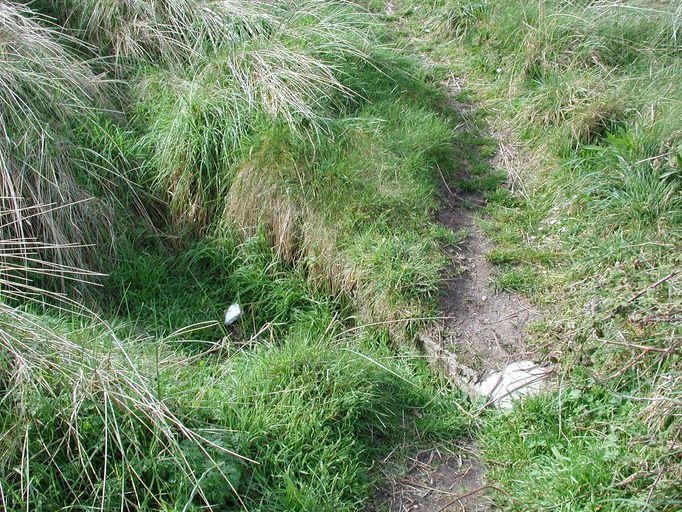 Bunker - poste d'observation et de tir dit Tobruk-Stand (n° 1), Pointe Saint-Samson, Pierre Double (Plougasnou)