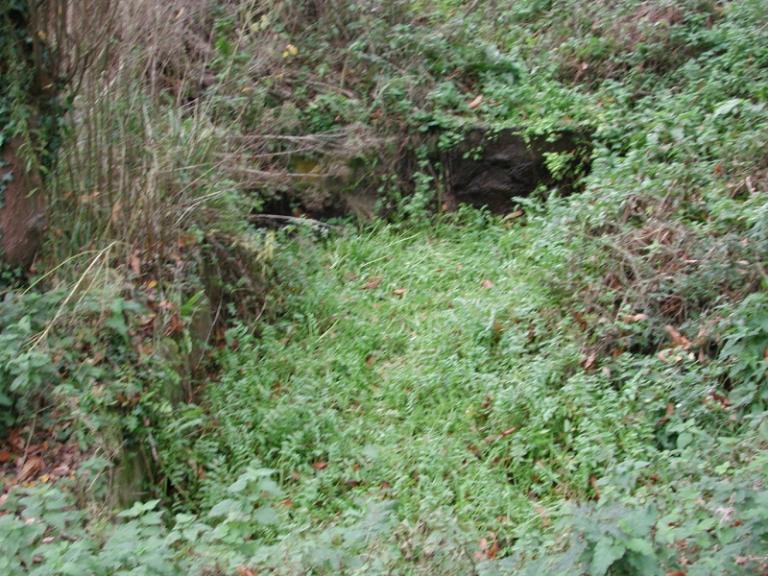 Lavoir et fontaine du Kerpont (Tréveneuc)