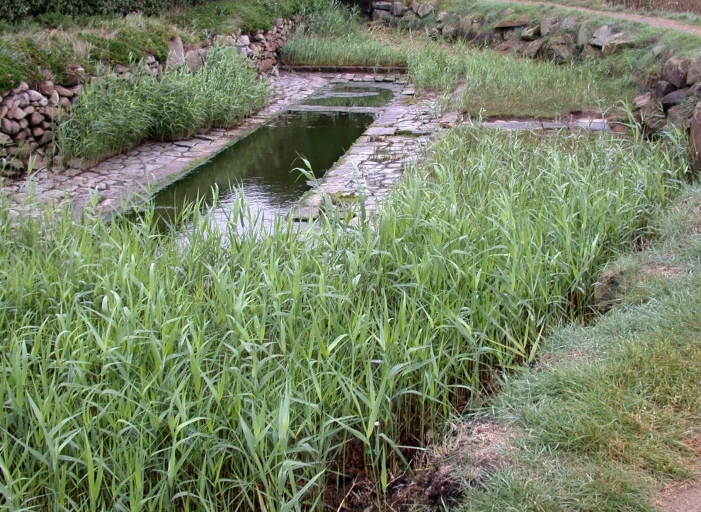 Lavoir, Ile-Grande (Pleumeur-Bodou)