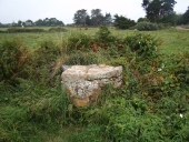 Puits, Roc'h-Verrien (île de Bréhat)