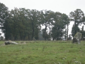 Alignement de menhirs de Bringuerault, Clos-Alaire, les Bredouillères (Bazouges-sous-Hédé)
