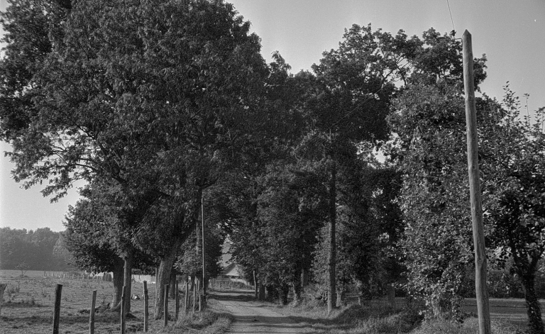 Manoir, puis ferme, Champagne (Pacé)
