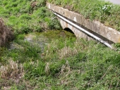 Pont, le Bourgneuf (La Baussaine)