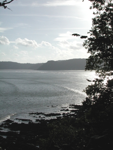 Site archéologique Le Grand Rocher (Plestin-les-Grèves)