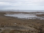 Réservoirs : pêcheries sur la commune de Pleubian