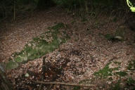 Fontaine, Hirgars (Crozon)