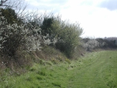 La digue des Moines (Lancieux)