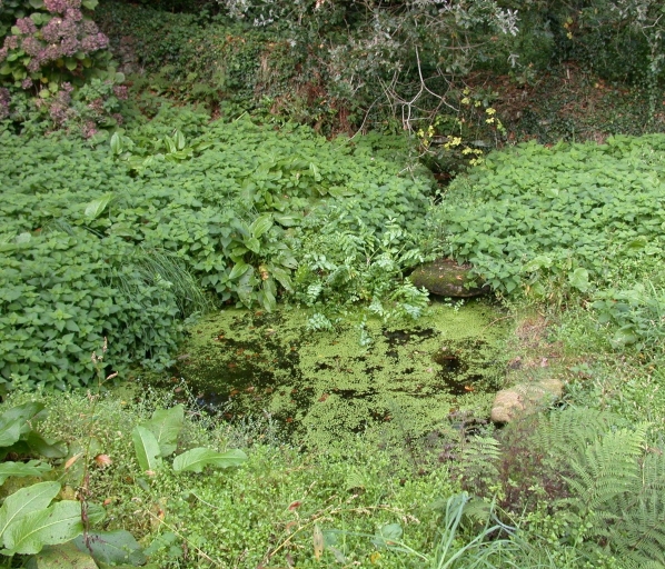 Bassins dit routoirs à lin, Parcou-Merrien (Pleumeur-Bodou)